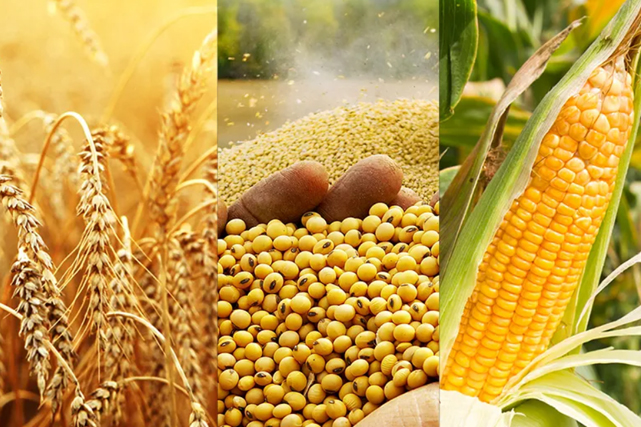 agro